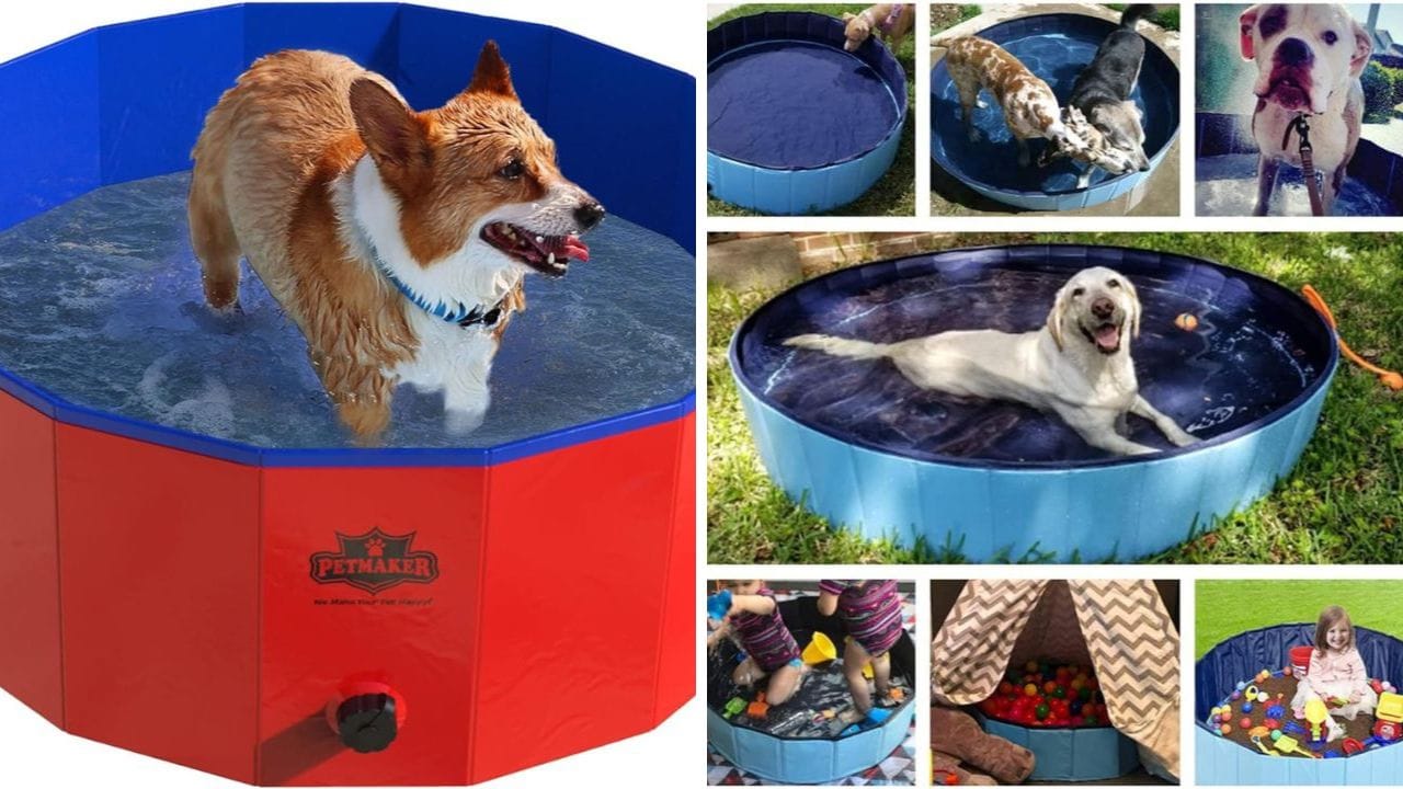 Dog Swimming Pools